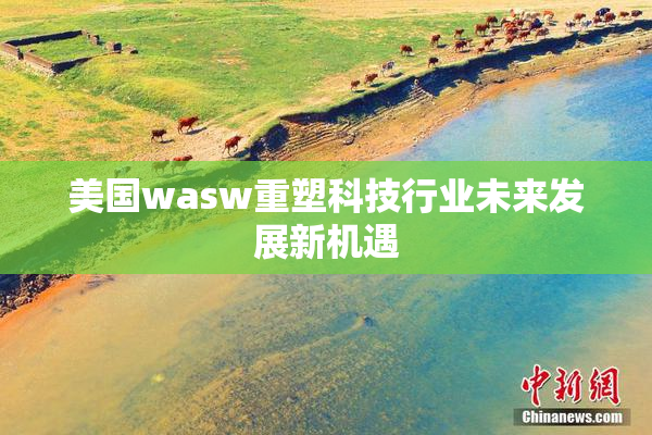 美国wasw重塑科技行业未来发展新机遇