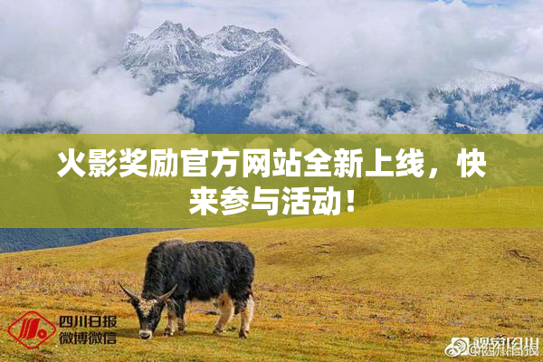 火影奖励官方网站全新上线，快来参与活动！