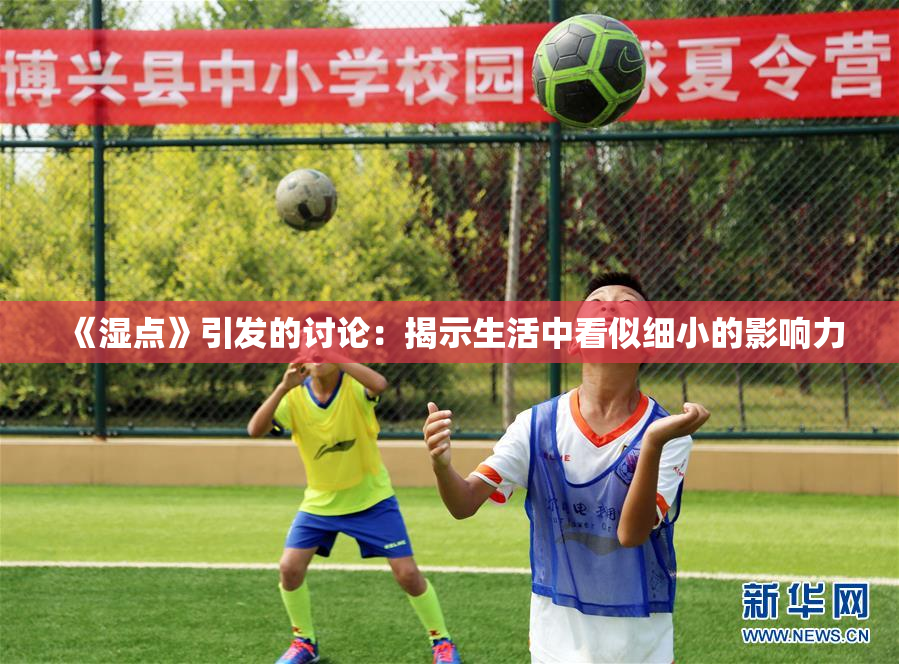 《湿点》引发的讨论：揭示生活中看似细小的影响力