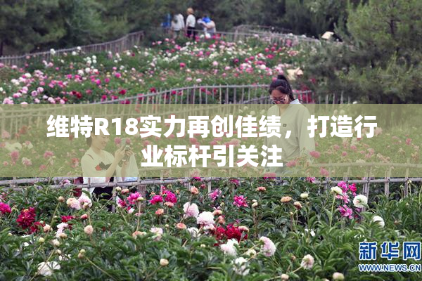 维特R18实力再创佳绩，打造行业标杆引关注