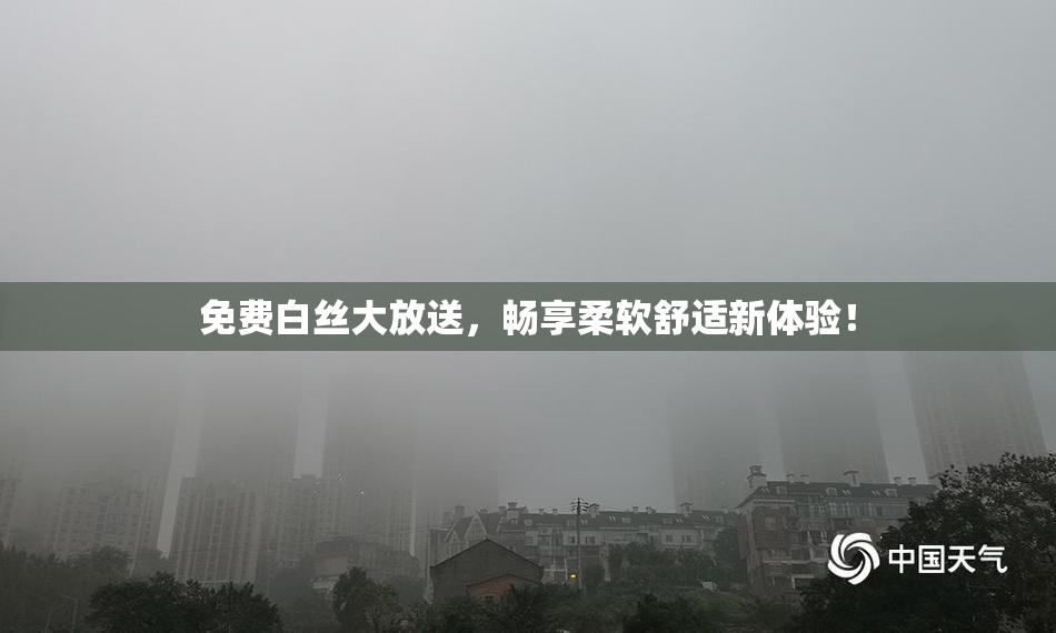 免费白丝大放送，畅享柔软舒适新体验！