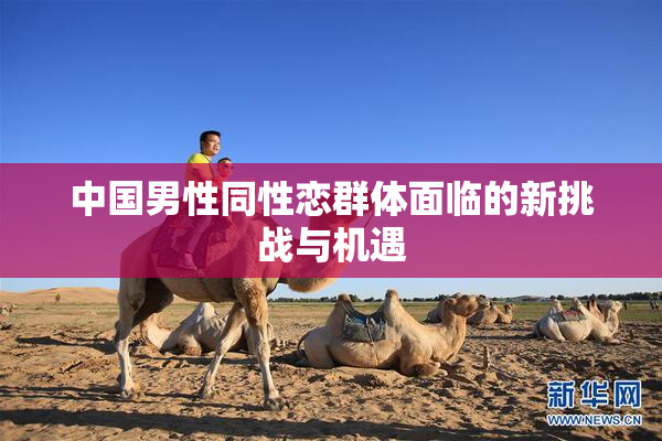 中国男性同性恋群体面临的新挑战与机遇