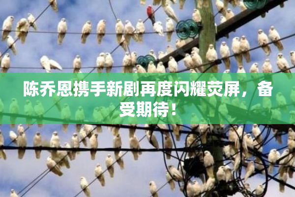 陈乔恩携手新剧再度闪耀荧屏，备受期待！