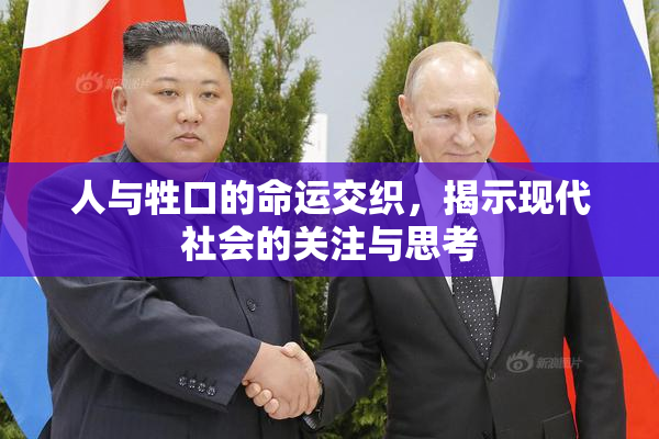 人与牲口的命运交织，揭示现代社会的关注与思考