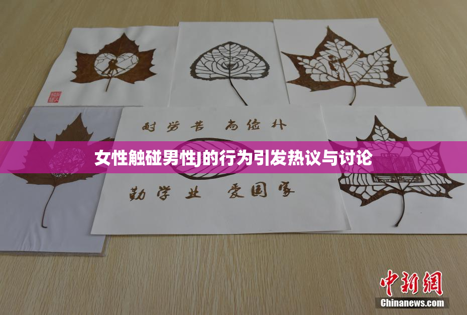 女性触碰男性J的行为引发热议与讨论