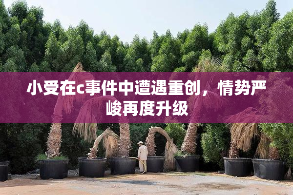 小受在c事件中遭遇重创，情势严峻再度升级