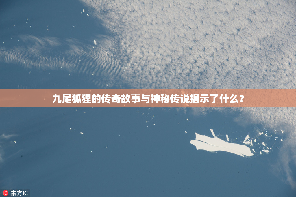 九尾狐狸的传奇故事与神秘传说揭示了什么？