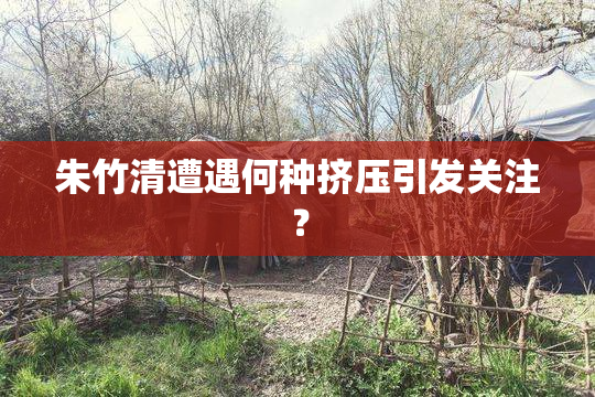 朱竹清遭遇何种挤压引发关注？