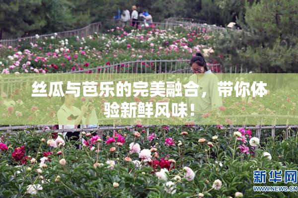 丝瓜与芭乐的完美融合，带你体验新鲜风味！