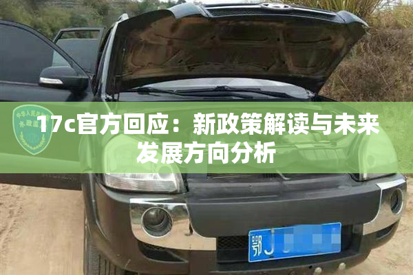 17c官方回应：新政策解读与未来发展方向分析
