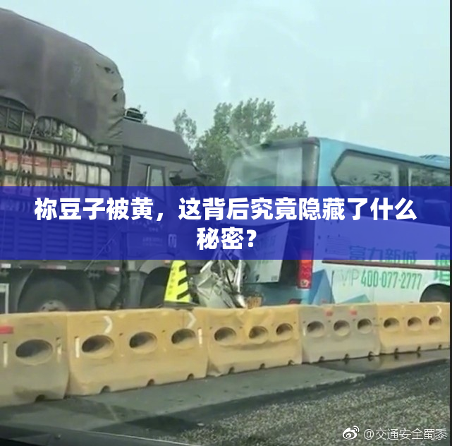 祢豆子被黄，这背后究竟隐藏了什么秘密？