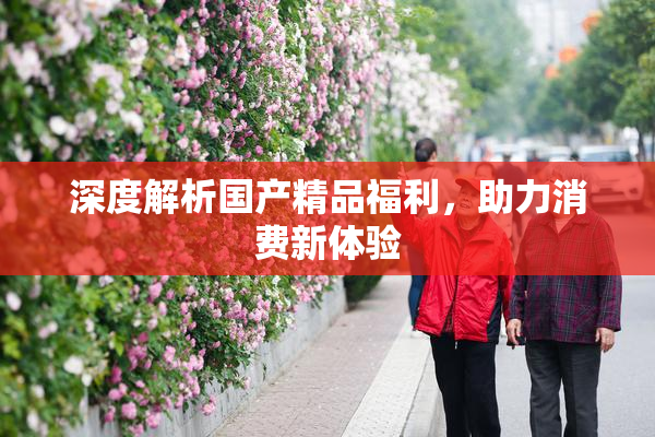 深度解析国产精品福利，助力消费新体验