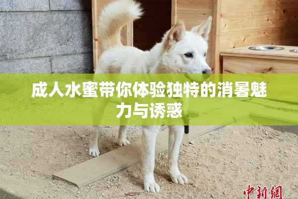 成人水蜜带你体验独特的消暑魅力与诱惑
