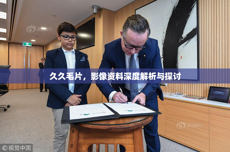 久久毛片，影像资料深度解析与探讨