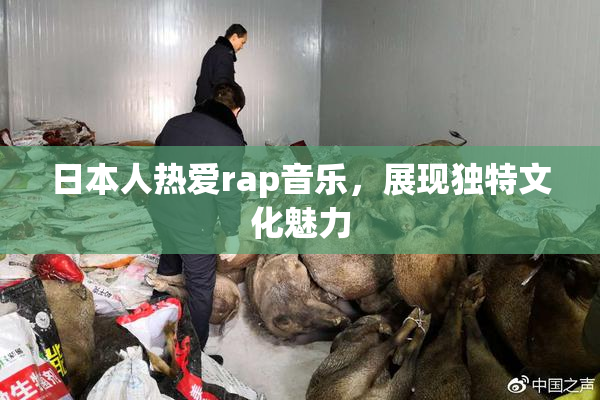 日本人热爱rap音乐，展现独特文化魅力