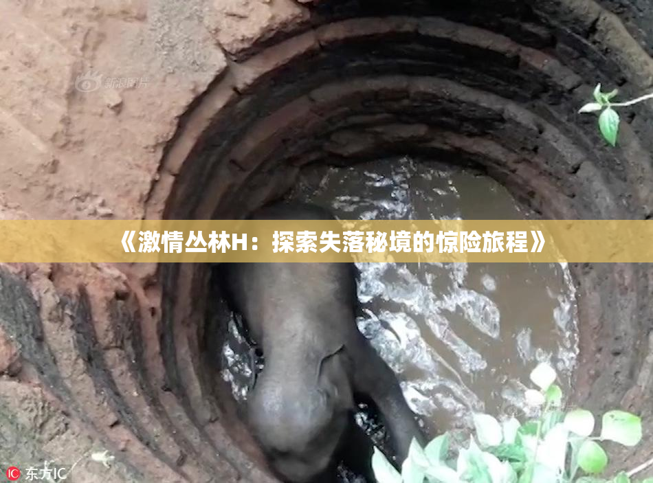 《激情丛林H：探索失落秘境的惊险旅程》