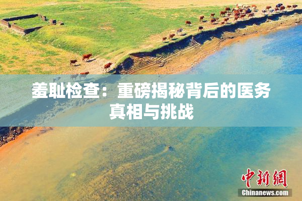 羞耻检查：重磅揭秘背后的医务真相与挑战