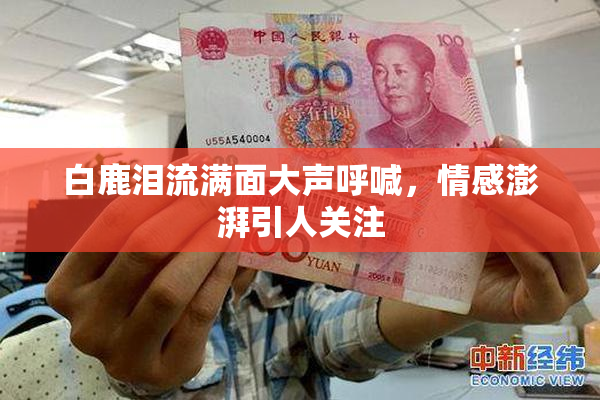 白鹿泪流满面大声呼喊，情感澎湃引人关注