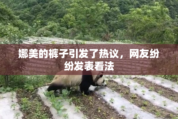 娜美的裤子引发了热议，网友纷纷发表看法