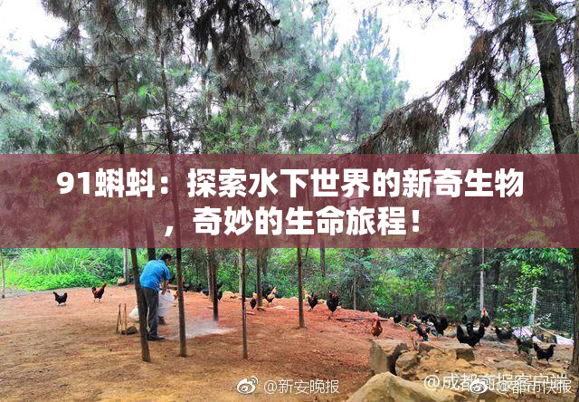 91蝌蚪：探索水下世界的新奇生物，奇妙的生命旅程！