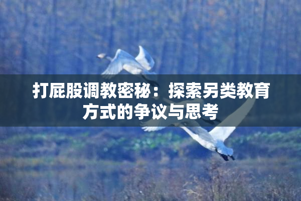 打屁股调教密秘：探索另类教育方式的争议与思考
