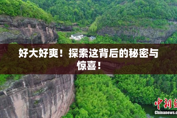 好大好爽！探索这背后的秘密与惊喜！