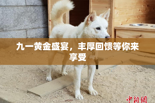 九一黄金盛宴，丰厚回馈等你来享受