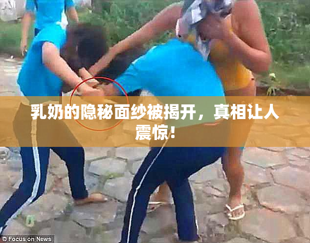 乳奶的隐秘面纱被揭开，真相让人震惊！
