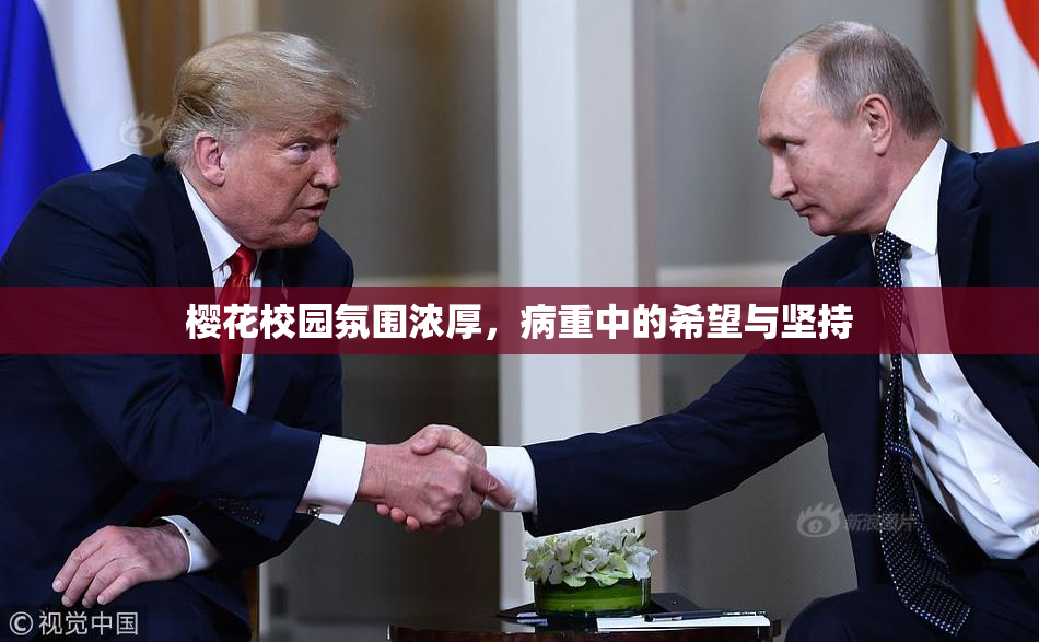 樱花校园氛围浓厚，病重中的希望与坚持