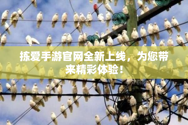 拣爱手游官网全新上线，为您带来精彩体验！