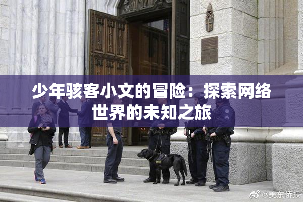 少年骇客小文的冒险：探索网络世界的未知之旅