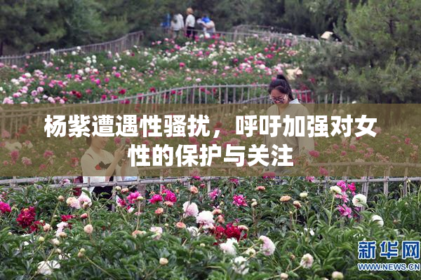 杨紫遭遇性骚扰，呼吁加强对女性的保护与关注