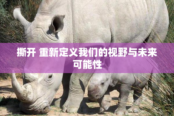 撕开 重新定义我们的视野与未来可能性