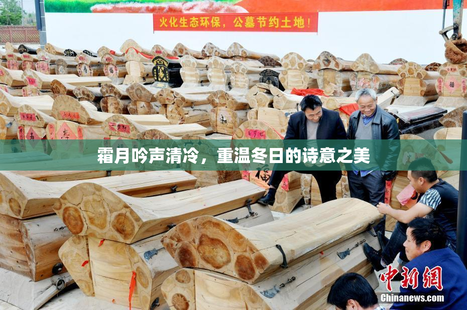 霜月吟声清冷，重温冬日的诗意之美