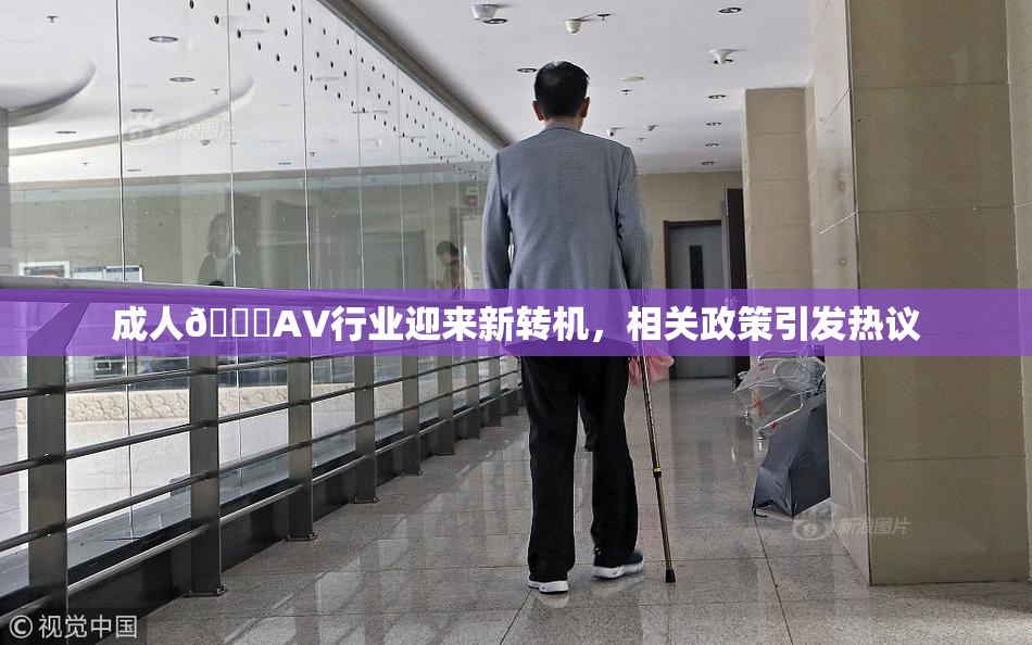 成人🔞AV行业迎来新转机，相关政策引发热议