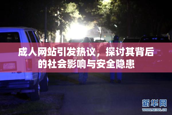 成人网站引发热议，探讨其背后的社会影响与安全隐患