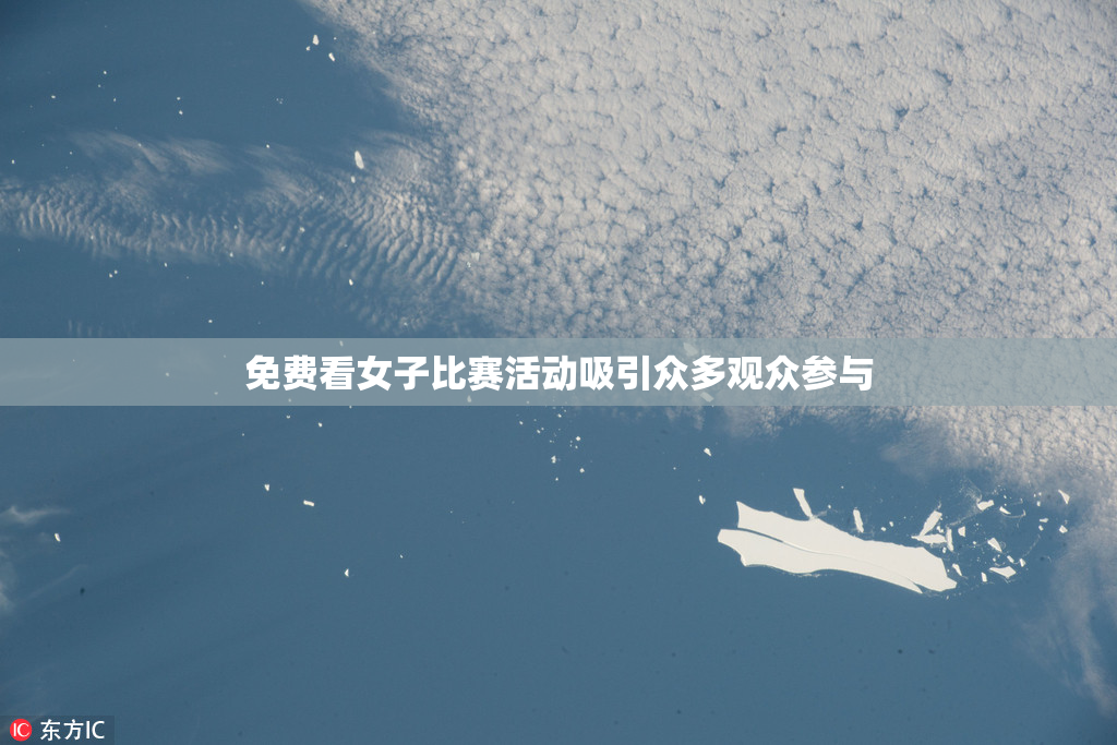 免费看女子比赛活动吸引众多观众参与