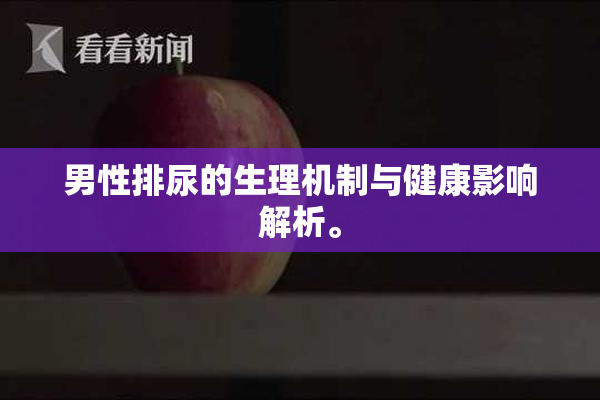 男性排尿的生理机制与健康影响解析。