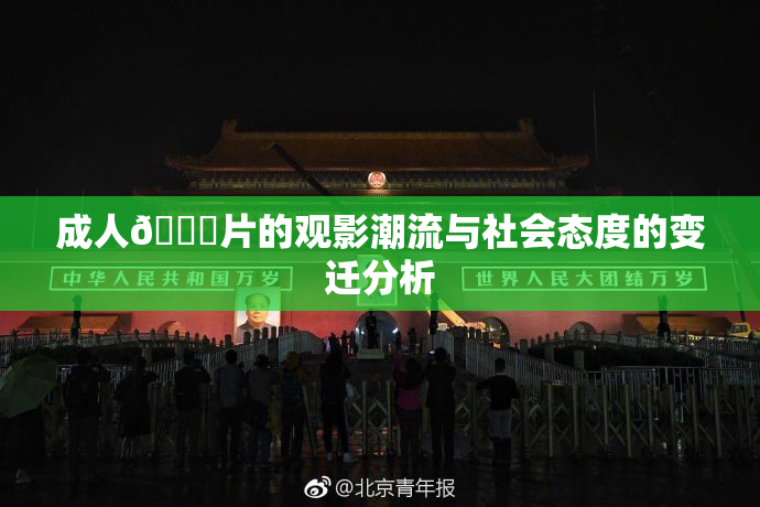 成人🔞片的观影潮流与社会态度的变迁分析