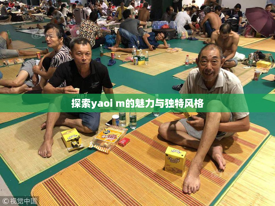 探索yaoi m的魅力与独特风格