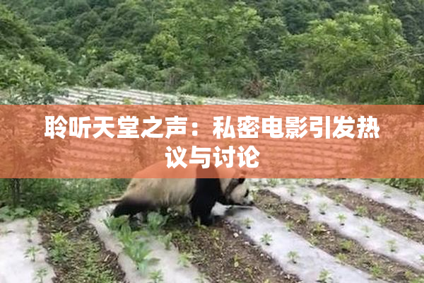 聆听天堂之声：私密电影引发热议与讨论