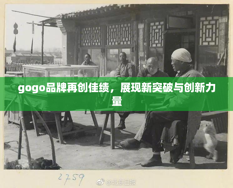 gogo品牌再创佳绩，展现新突破与创新力量