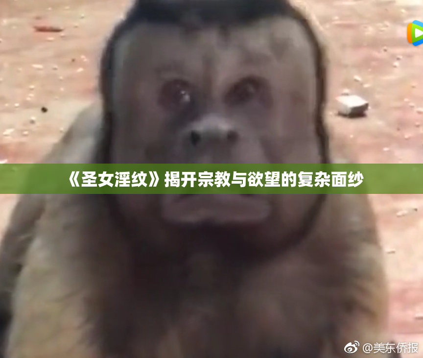 《圣女淫纹》揭开宗教与欲望的复杂面纱