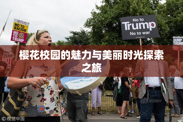 樱花校园的魅力与美丽时光探索之旅