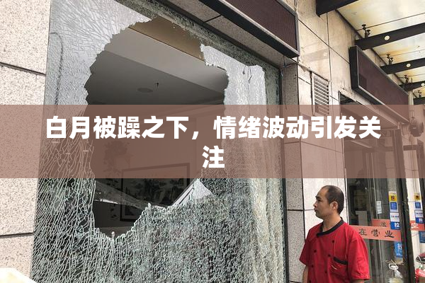 白月被躁之下，情绪波动引发关注