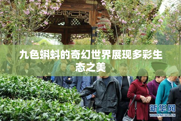 九色蝌蚪的奇幻世界展现多彩生态之美
