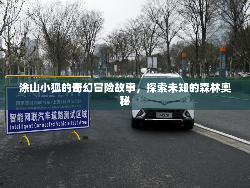 涂山小狐的奇幻冒险故事，探索未知的森林奥秘