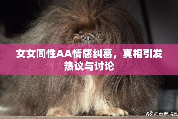 女女同性AA情感纠葛，真相引发热议与讨论