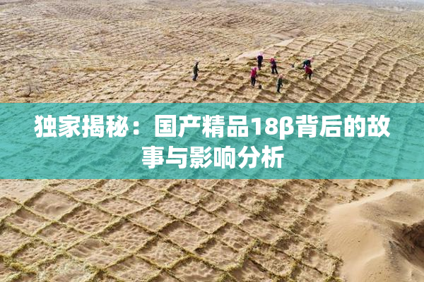 独家揭秘：国产精品18β背后的故事与影响分析