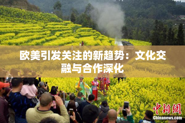 欧美引发关注的新趋势：文化交融与合作深化